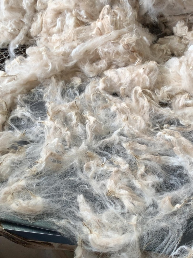 AURALEE Purple Ribbed Knit Wool Mohair Cardigan