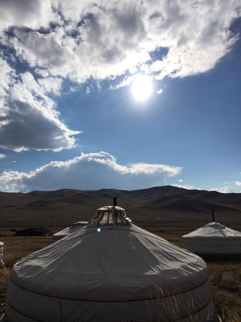 AURALEE Purple Ribbed Knit Wool Mohair Cardigan